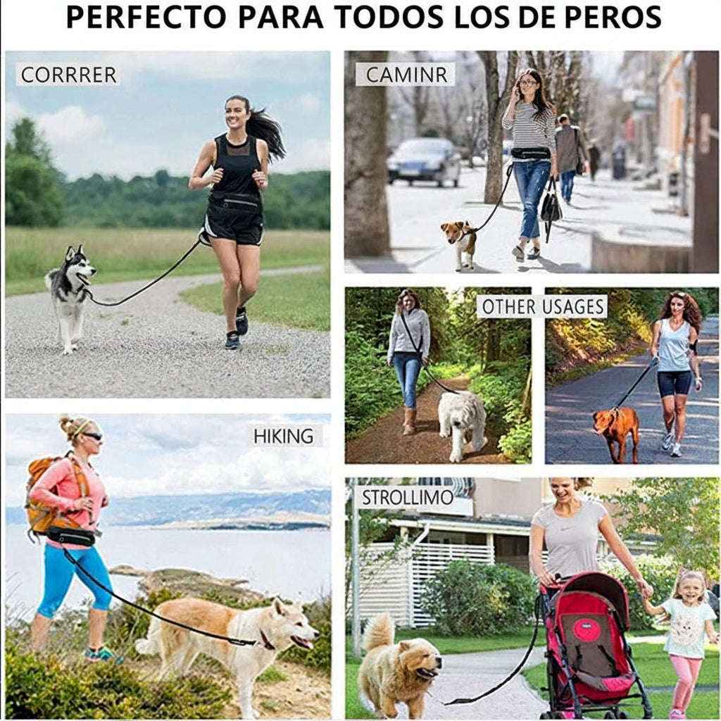Correa Manos Libres para Perro – Cinturón Running con Correa Bungee