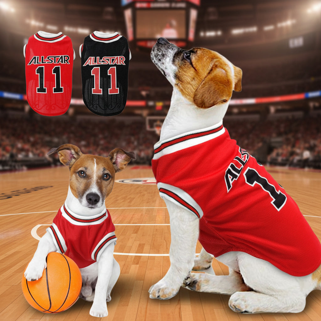 Sudadera de baloncesto para perro