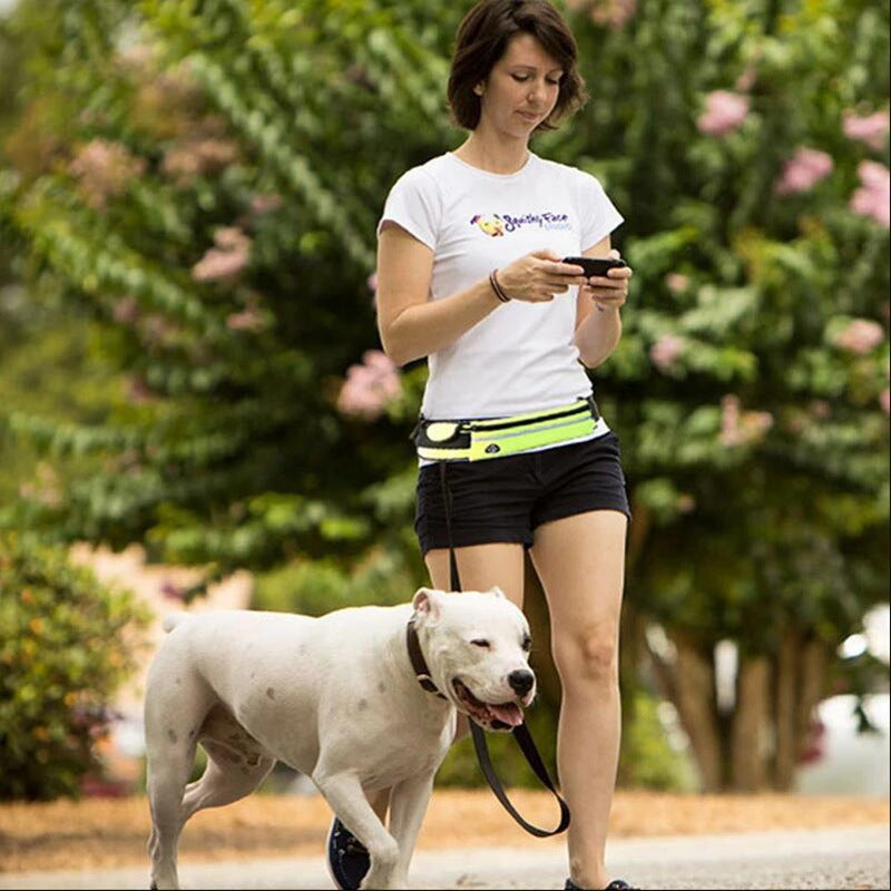 Correa Manos Libres para Perro – Cinturón Running con Correa Bungee