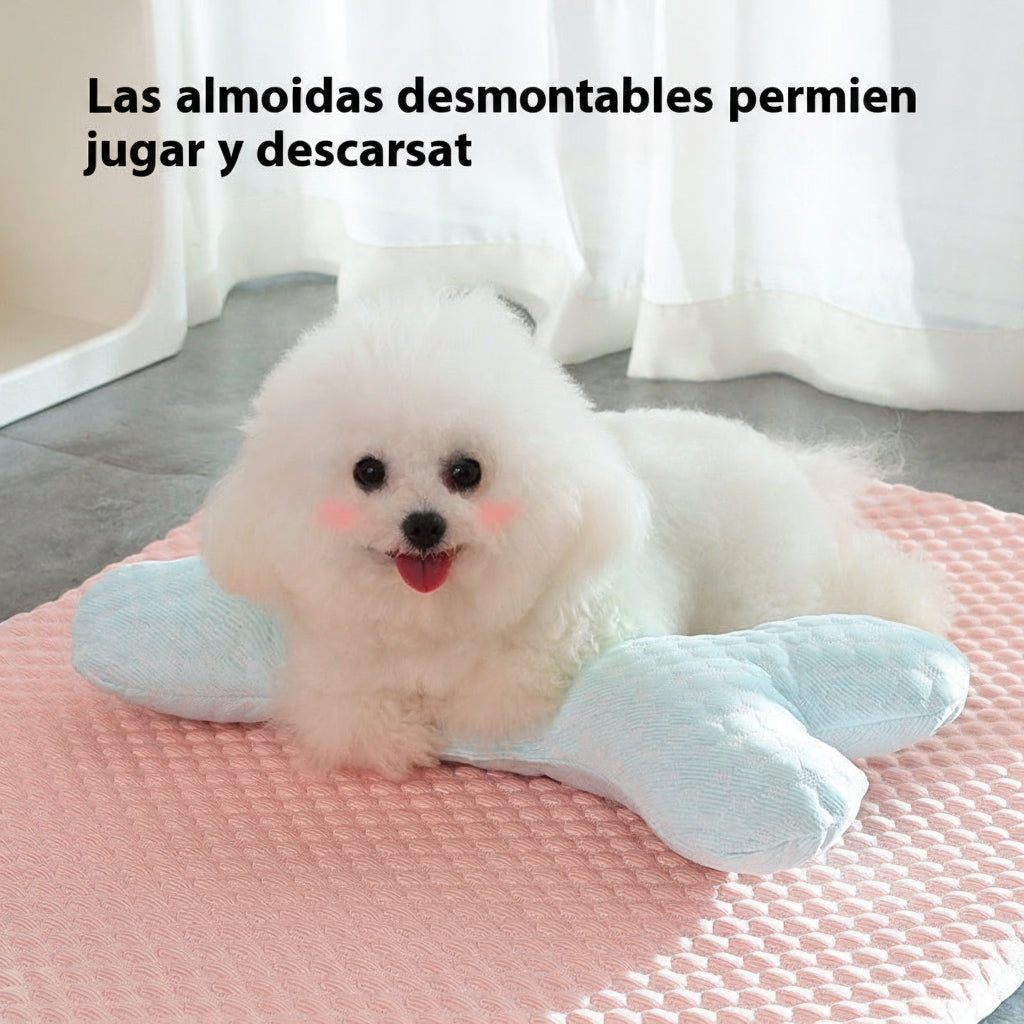 Confort y frescura para tu compañero