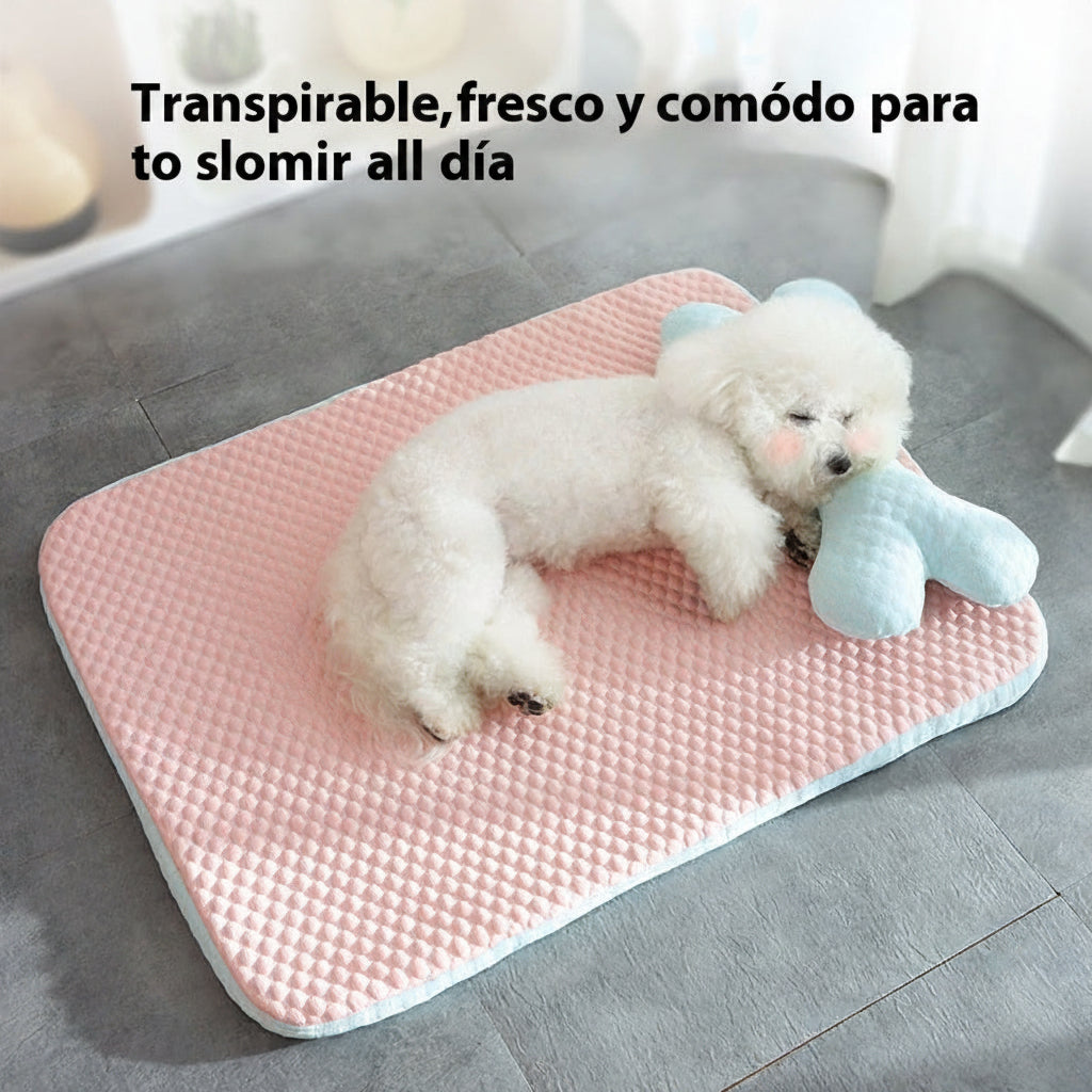 Confort y frescura para tu compañero