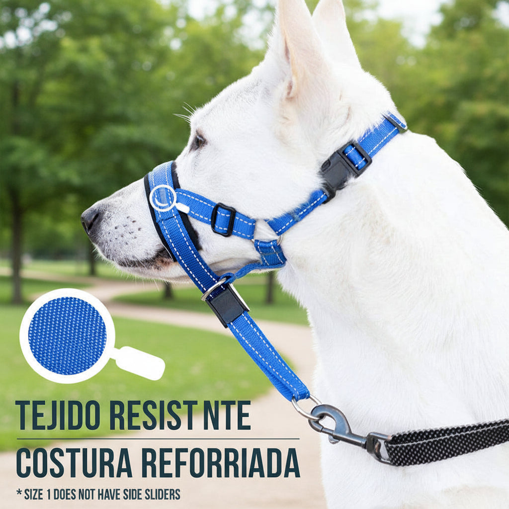 Correa 2 en 1 para Perro
