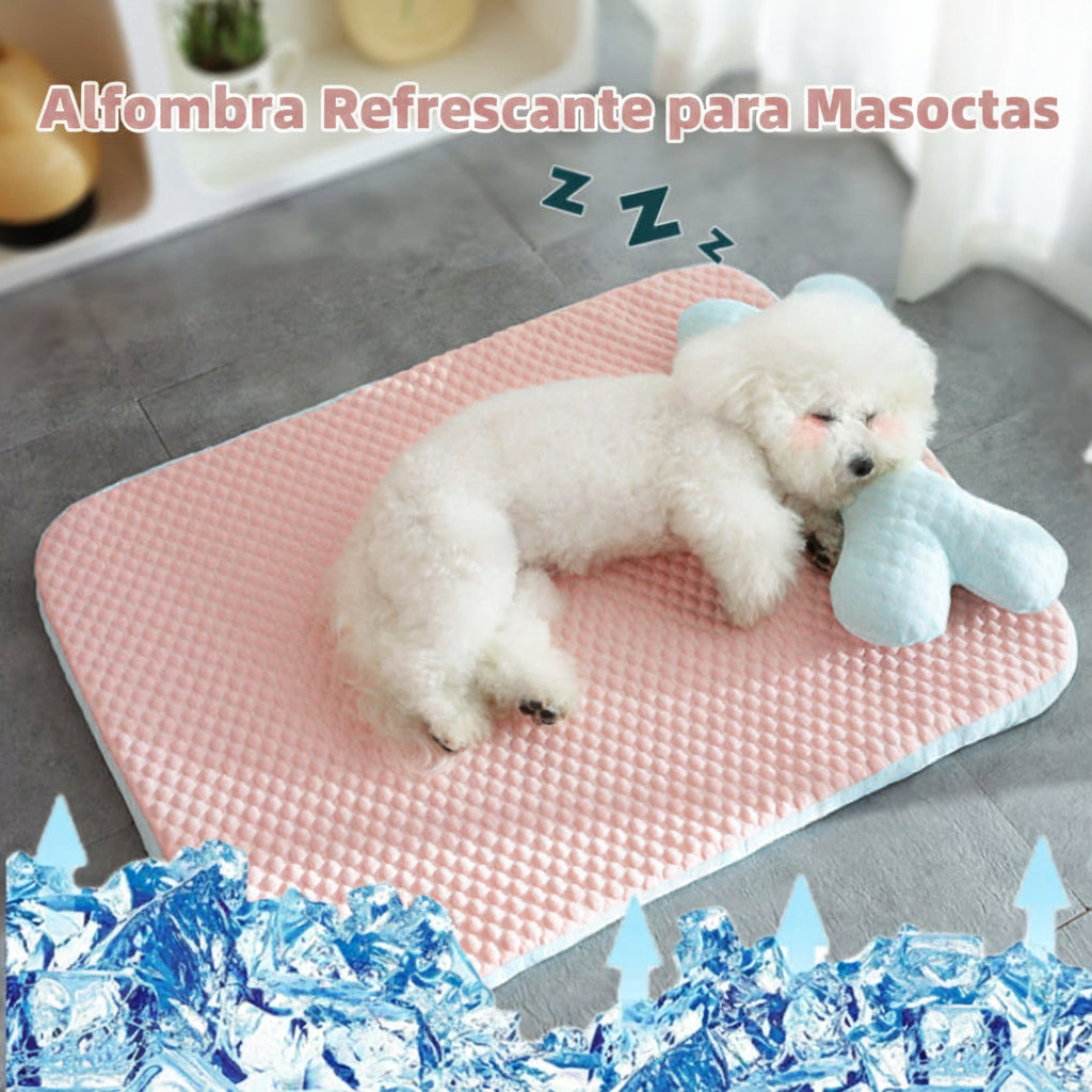 Confort y frescura para tu compañero